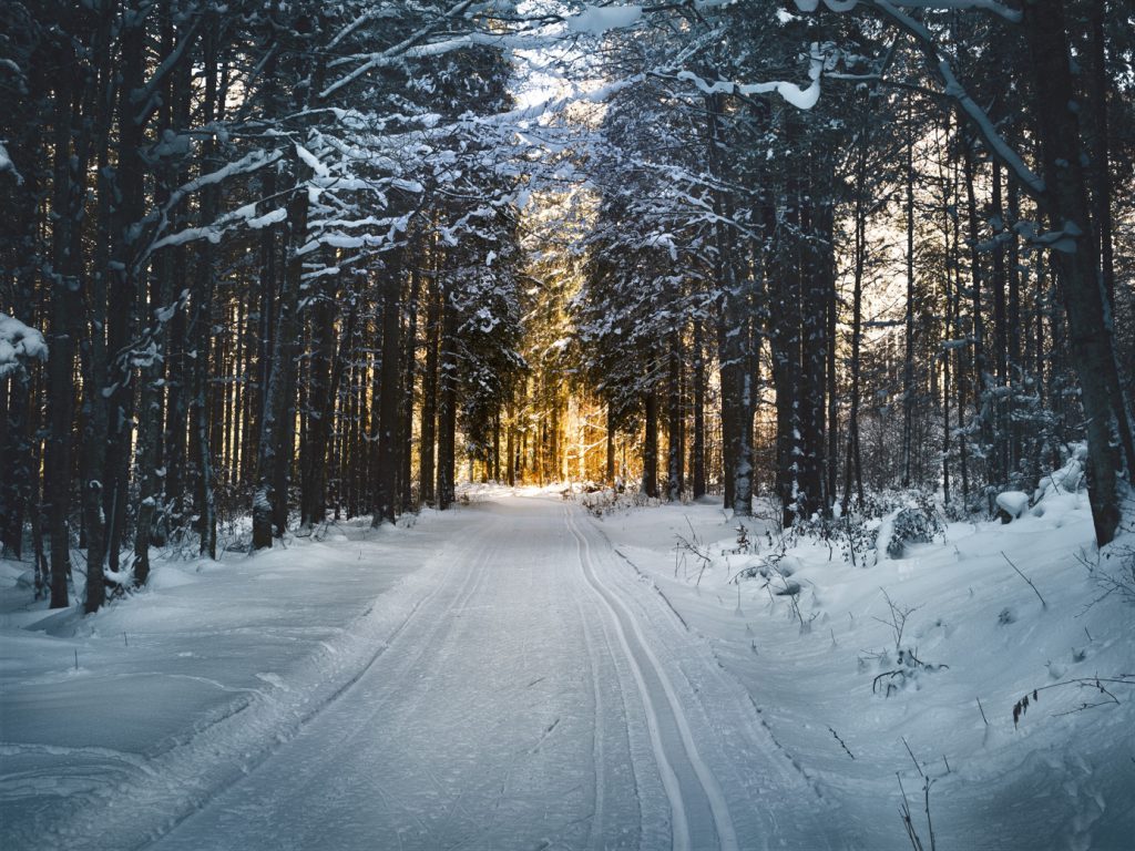 De winter: donkere dagen en lage temperaturen