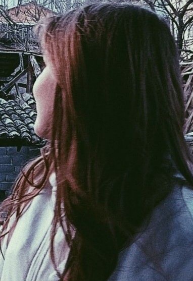  Lorena 